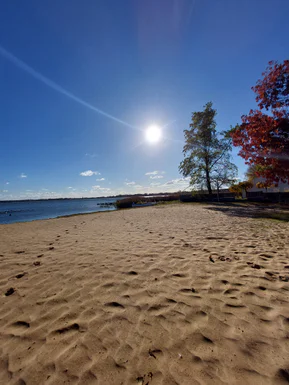 An empty sandy beach by the lake in the autumn sun
