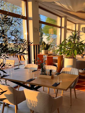 Restaurant tables in warm sunlight, among plants
